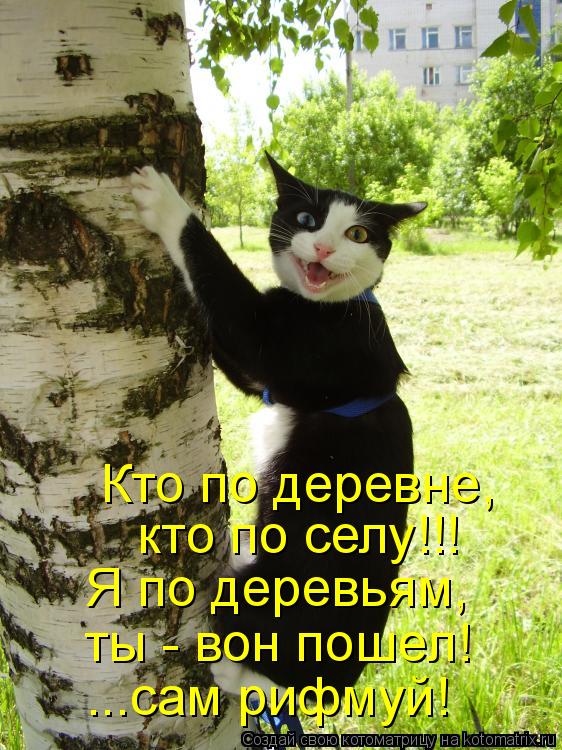 Котоматрица: Я по деревьям, ты - вон пошел! ...сам рифмуй!  кто по селу!!! Кто по деревне,