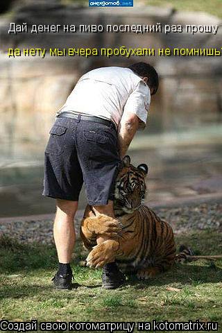 Котоматрица: Дай денег на пиво последний раз прошу да нету мы вчера пробухали не помнишь?
