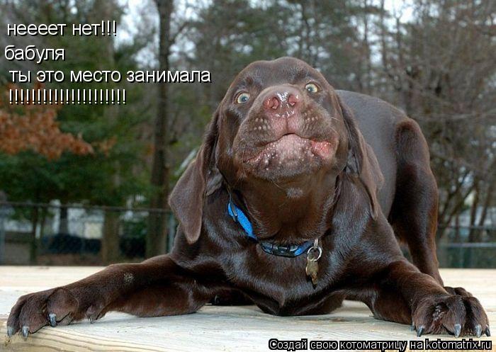 Котоматрица: неееет нет!!! бабуля ты это место занимала ты это место занимала !!!!!!!!!!!!!!!!!!!!!