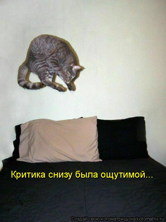 Критика снизу была ощутимой...... Котоматрица: Критика снизу была ощутимой...