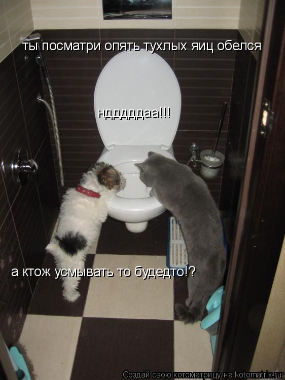 Котоматрица: ты посматри опять тухлых яиц обелся ндддддаа!!! а ктож усмывать то будедто!?