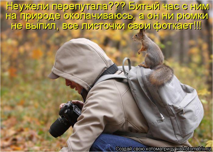 Котоматрица: Неужели перепутала??? Битый час с ним на природе околачиваюсь, а он ни рюмки не выпил, все листочки свои фоткает!!!