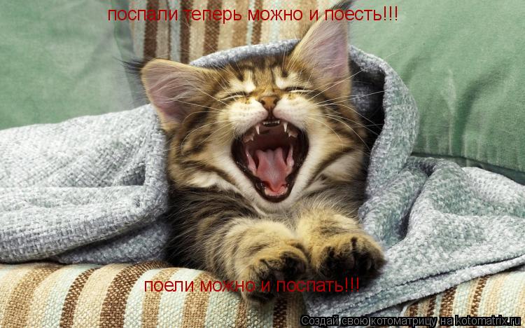 http://kotomatrix.ru/images/lolz/2011/12/11/1059247.jpg