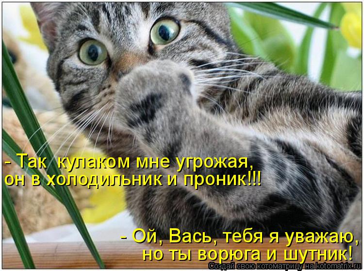 Котоматрица: но ты ворюга и шутник! он в холодильник и проник!!! - Так  кулаком мне угрожая,  - Ой, Вась, тебя я уважаю,