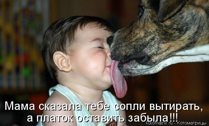Котоматрица: Мама сказала тебе сопли вытирать, а платок оставить забыла!!!