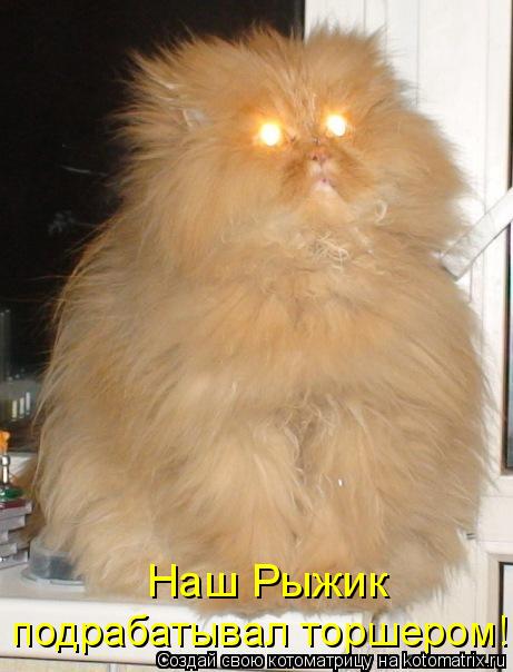 Котоматрица: Наш Рыжик  подрабатывал торшером!
