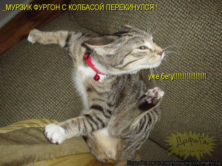 Котоматрица: _МУРЗИК ФУРГОН С КОЛБАСОЙ ПЕРЕКИНУЛСЯ ! уже бегу!!!!!!!!!!!!!!!!!!