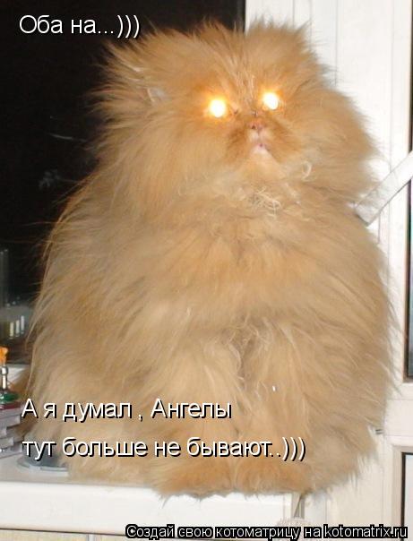 Котоматрица: Оба на...))) А я думал , Ангелы тут больше не бывают..)))