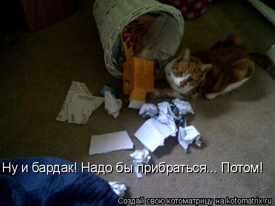 Котоматрица: Ну и бардак! Надо бы прибраться... Потом!