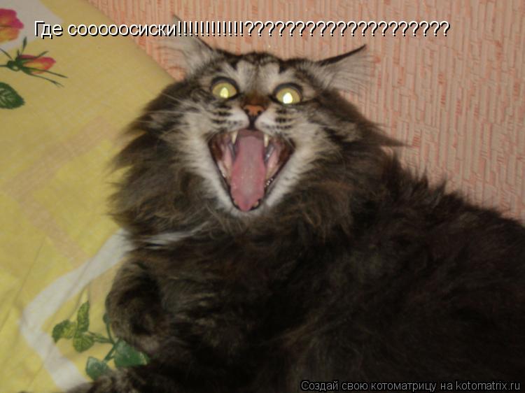 Котоматрица: Где сооооосиски!!!!!!!!!!!!????????????????????