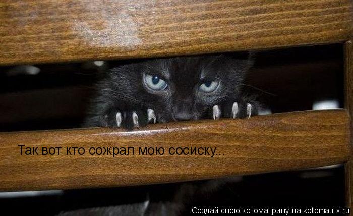 Котоматрица: Так вот кто сожрал мою сосиску...