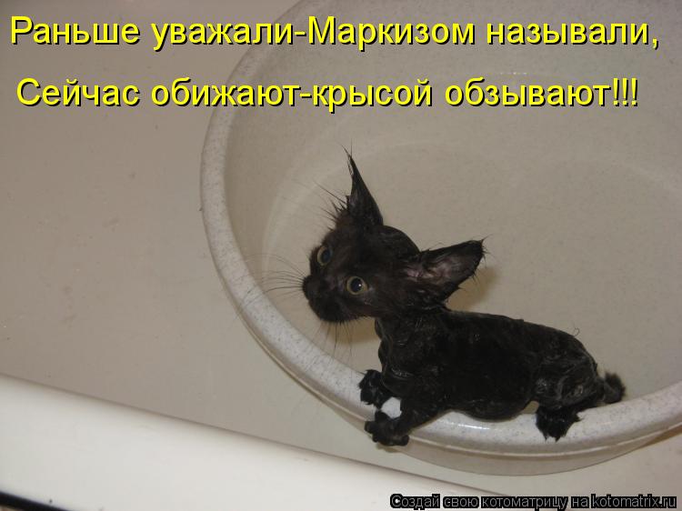 Котоматрица: Раньше уважали-Маркизом называли, Сейчас обижают-крысой обзывают!!!