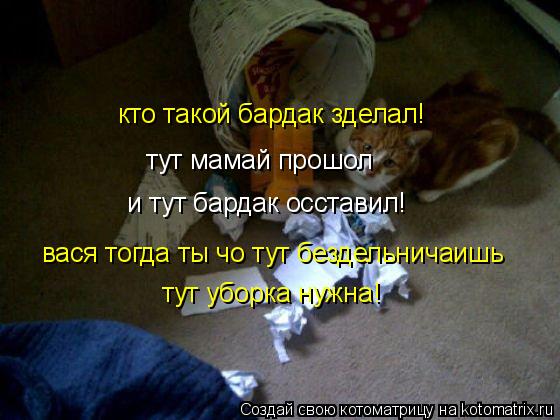 Котоматрица: тут мамай прошол и тут бардак осставил! кто такой бардак зделал! вася тогда ты чо тут бездельничаишь тут уборка нужна!