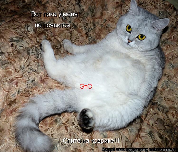 Котоматрица: Вот пока у меня  ЭтО не появится Спите на коврике!!!