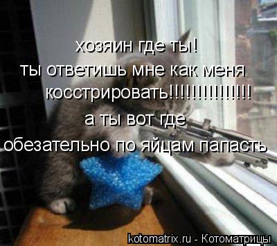 Котоматрица: хозяин где ты! ты ответишь мне как меня косстрировать!!!!!!!!!!!!!!! а ты вот где обезательно по яйцам папасть