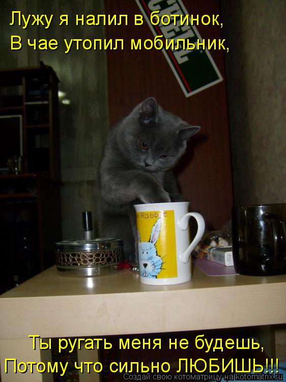 Котоматрица: Лужу я налил в ботинок, В чае утопил мобильник, Ты ругать меня не будешь, Потому что сильно ЛЮБИШЬ!!!