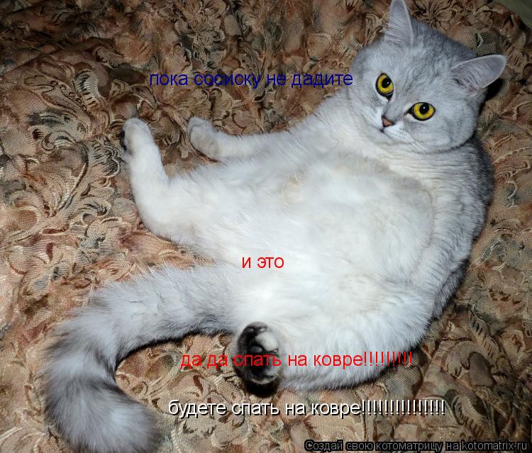 Котоматрица: пока сосиску не дадите и это будете спать на ковре!!!!!!!!!!!!!!! да да спать на ковре!!!!!!!!!