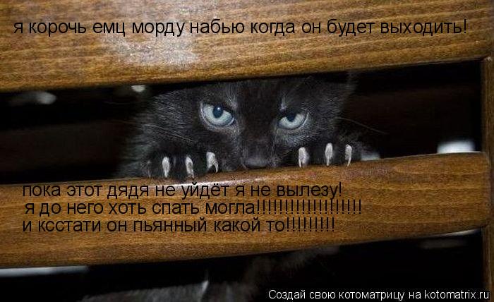 Котоматрица: пока этот дядя не уйдёт я не вылезу! я до него хоть спать могла!!!!!!!!!!!!!!!!!!! и ксстати он пьянный какой то!!!!!!!!! я корочь емц морду набью ког