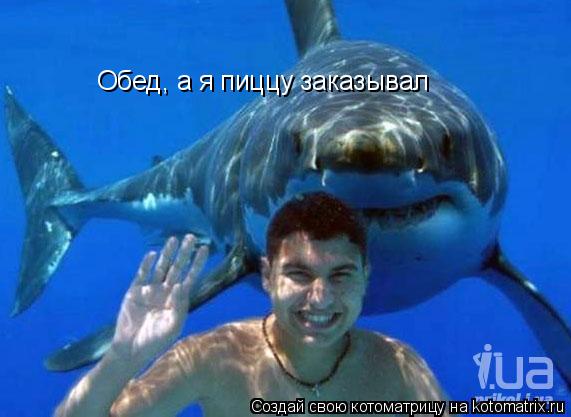 Котоматрица: Обед, а я пиццу заказывал