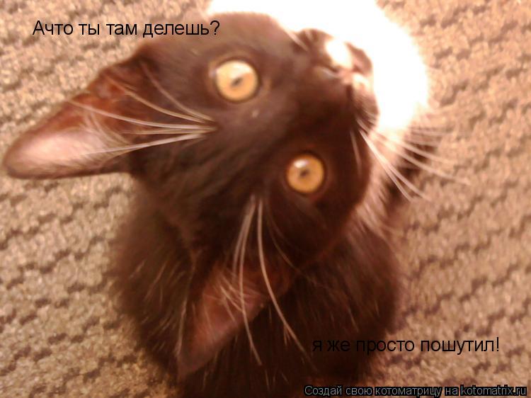 Котоматрица: Ачто ты там делешь? я же просто пошутил!