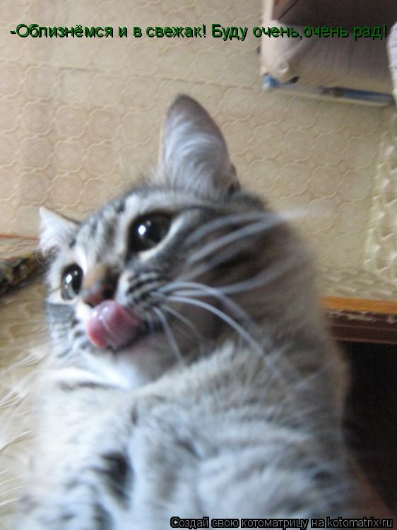 Котоматрица: -Облизнёмся и в свежак! Буду очень,очень рад!