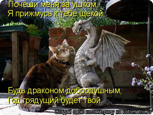 Котоматрица: Почеши меня за ушком, Я прижмусь к тебе щекой. Будь драконом добродушным, Год грядущий будет твой.
