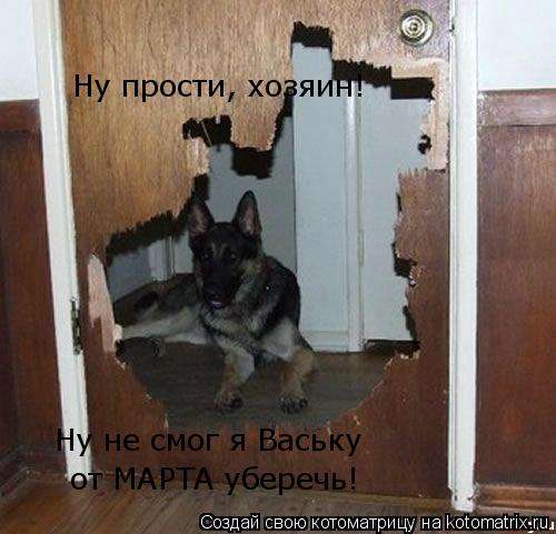 Котоматрица: Ну прости, хозяин! Ну не смог я Ваську  от МАРТА уберечь!
