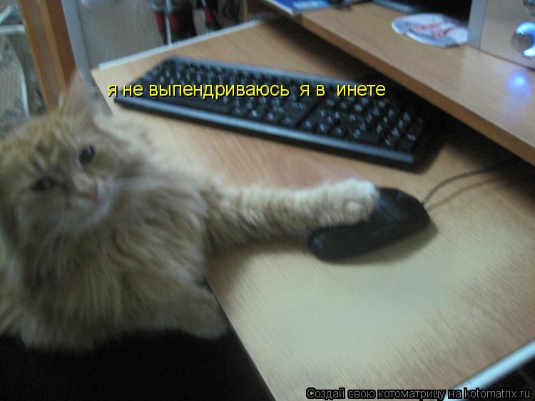 Котоматрица: я не выпендриваюсь  я в  инете