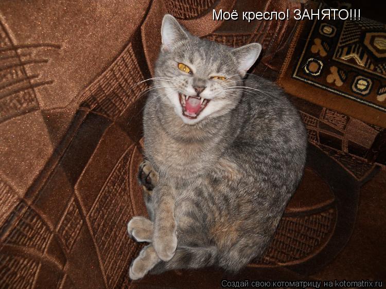 Котоматрица: Моё кресло! ЗАНЯТО!!!