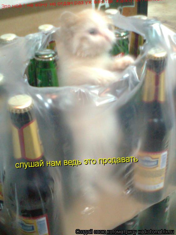 Котоматрица: Это моё ! не кому не отдам раз уж вам так жалко пол колбаски!!! слушай нам ведь это продавать