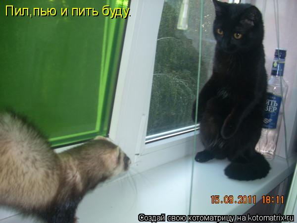 Котоматрица: Пил,пью и пить буду.