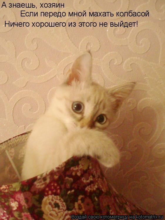Котоматрица: А знаешь, хозяин Если передо мной махать колбасой Ничего хорошего из этого не выйдет!