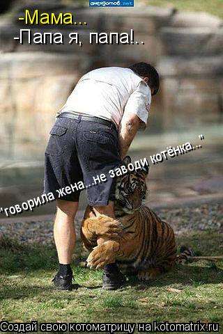 Котоматрица: -Мама... -Папа я, папа!.. "говорила жена...не заводи котёнка..."