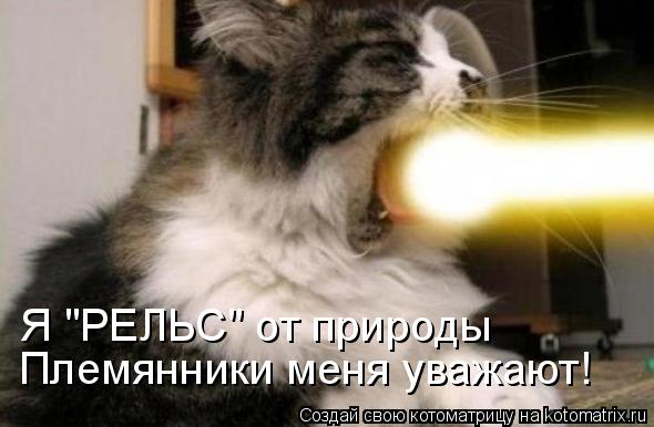 Котоматрица: Я "РЕЛЬС" от природы Племянники меня уважают!
