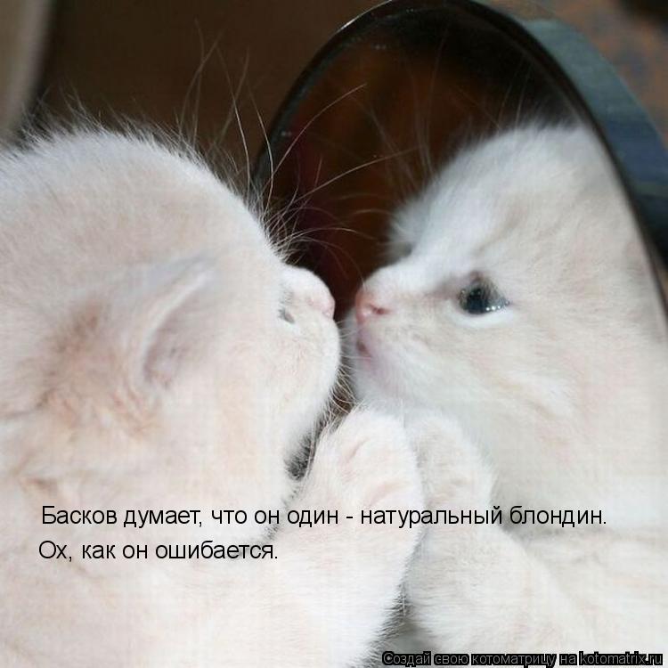 Котоматрица: Ох, как он ошибается. Басков думает, что он один - натуральный блондин.