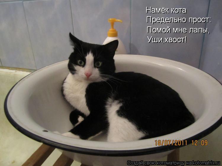 Котоматрица: Предельно прост: Помой мне лапы, Уши,хвост! Намёк кота