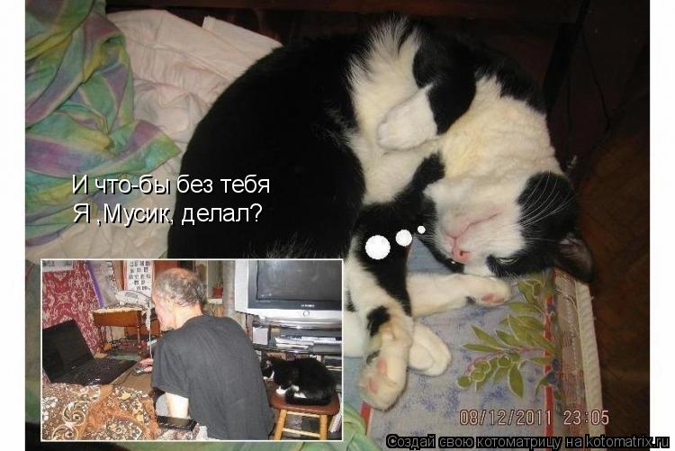 Котоматрица: Я ,Мусик, делал? И что-бы без тебя