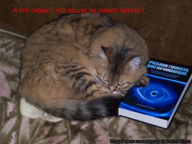 Котоматрица: А кто сказал ,что кошки не умеют читать?