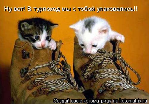 Котоматрица: Ну вот! В турпоход мы с тобой упаковались!!
