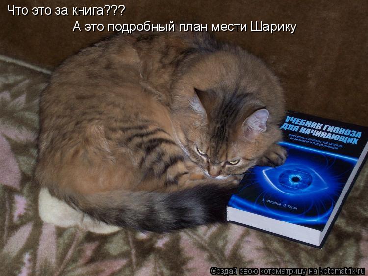 Котоматрица: Что это за книга??? А это подробный план мести Шарику