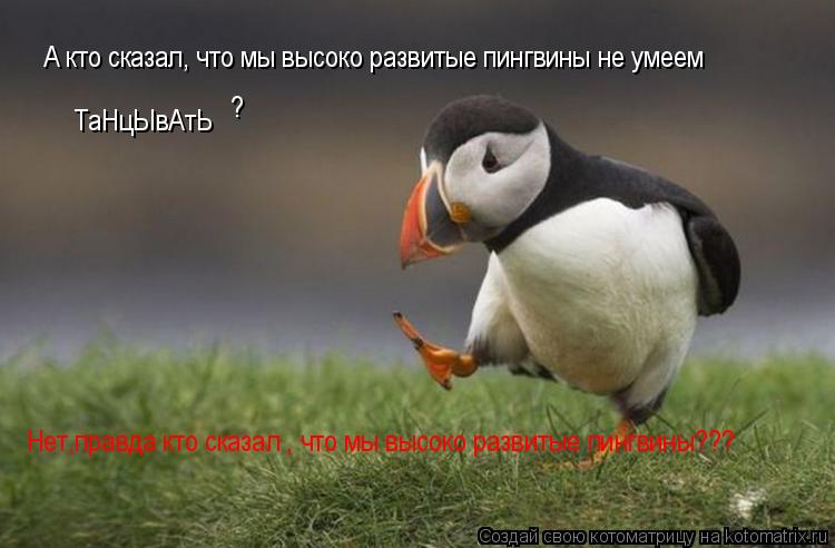 Котоматрица: А кто сказал, что мы высоко развитые пингвины не умеем танцывать А кто сказал, что мы высоко развитые пингвины не умеем  ТаНцЫвАтЬ  ? Нет,прав