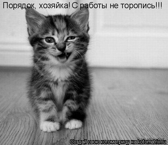 Котоматрица: Порядок, хозяйка! С работы не торопись!!!