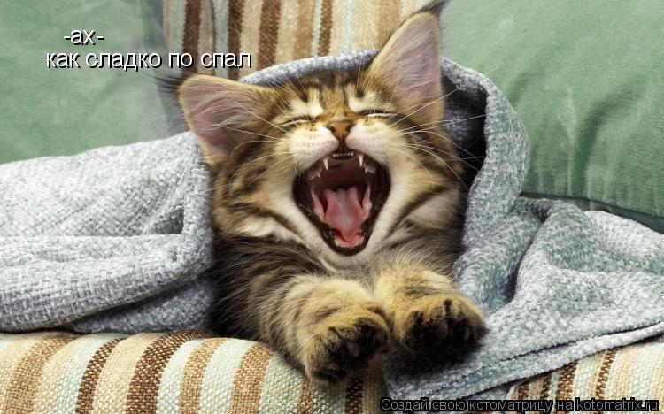 Котоматрица: -ах- как сладко по спал