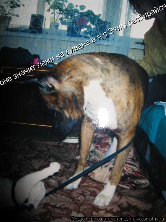 Котоматрица: она значит лежи на диване а я с Этим разбирайся