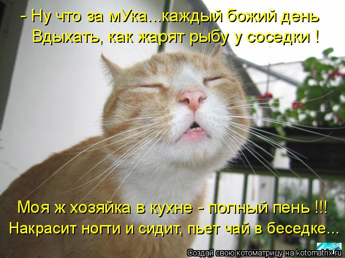 Вдыхать, как жарят рыбу у соседки ! Моя ж хозяйка в кухне - полный пень !!! Накрасит ногти и сидит, п... Котоматрица: Вдыхать, как жарят рыбу у соседки ! Моя ж хозяйка в кухне - полный пень !!! Накрасит ногти и сидит, пьет чай в беседке... - Ну что за мУка...каждый б