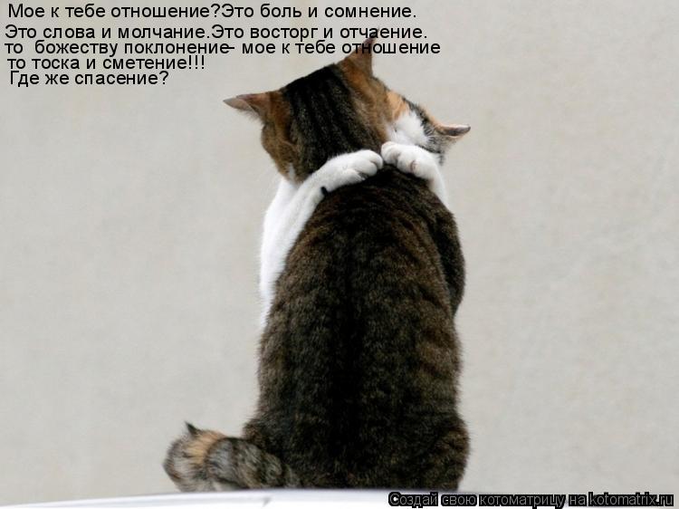 Котоматрица: Мое к тебе отношение?Это боль и сомнение. то  божеству поклонение- мое к тебе отношение то тоска и сметение!!! Где же спасение? Это слова и мол