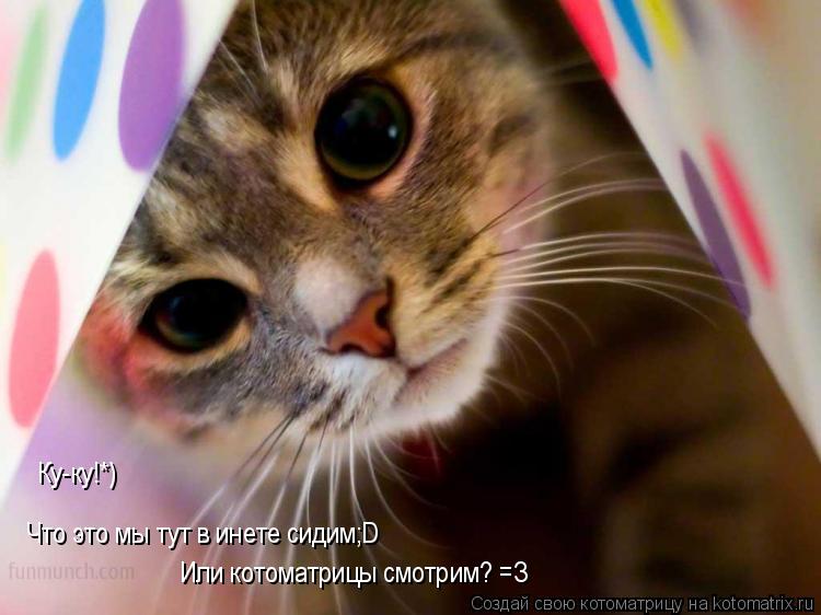 Котоматрица: Ку-ку!*) Что это мы тут в инете сидим;D Или котоматрицы смотрим? =З