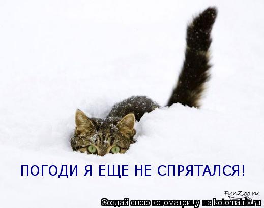 Котоматрица: ПОГОДИ Я ЕЩЕ НЕ СПРЯТАЛСЯ!