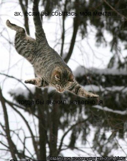 Котоматрица: ах, если бы сбылась моя мечта тогда бы выжил, наверно, я