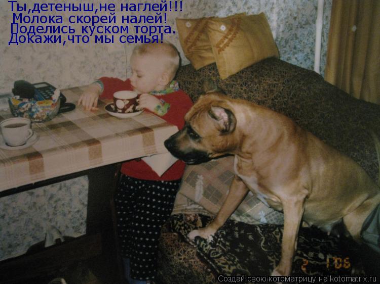 Котоматрица: Ты,детеныш,не наглей!!! Молока скорей налей! Поделись куском торта. Докажи,что мы семья!